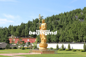 什么是树葬？北京陵园墓地那里支持树葬？