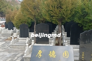 在哪查北京丰台太子峪墓地电话？
