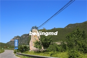 树葬收费吗？在北京如何申请免费树葬？