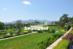 中华永久陵园环境怎么样？有墓地的环境照片吗