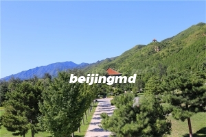 北京人可以在河北买墓地吗