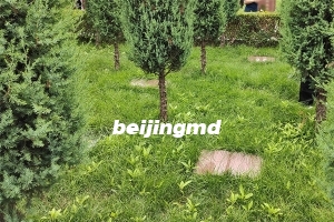 北京坟墓多少钱,价格大概多少？