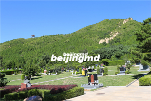 在北京，选择树葬的价格大概是多少？北京树葬价格