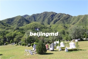 张家口官厅中华永久陵园咨询电话多少？陵园墓地价格行情怎么样？