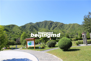 延庆区的永宁陵园环境和风水好吗？永宁陵园值得购买吗？