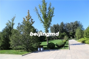 北京万安公墓祭扫规定及预约电话