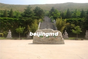 景仰园骨灰林最新价格行情表
