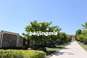 北京花坛葬公墓有哪些？价格怎样？