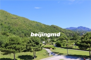 大兴区天慈墓园官网有价格吗？天慈墓园和永福墓园哪个价格便宜？