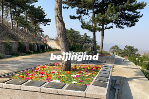 曲靖整治违规土葬