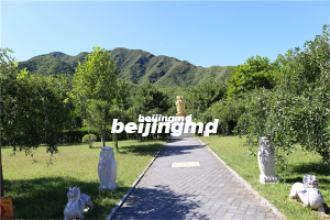 八达岭墓地价格一览表在哪找？