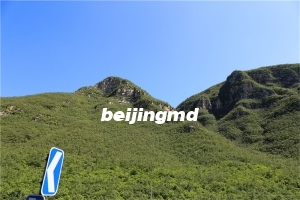 天福园公墓怎么样？天福园墓地价格2024年会涨吗？