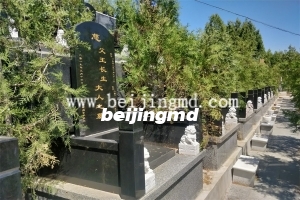 陵园环境