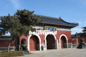 有拼团购买张家口中华永久陵园的吗