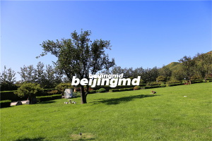 北京九公山公墓昌平风水怎么样？现在有空余墓地可以买吗？