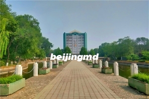 凤凰山陵园位置在哪？前往陵园扫墓人多吗？