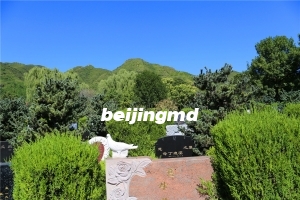 中华永久陵园高档墓地