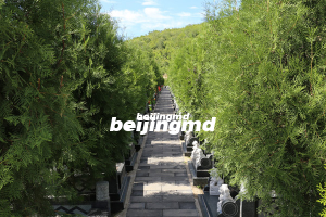 九公山陵园四季皆是风景