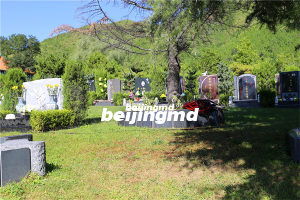 古代的祭祀活动有什么价值，现在如何看待