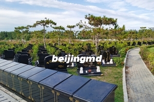 廊坊市固安县马公庄出售的公墓一平米多少钱？