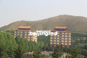 炎黄陵园规模大合法经营陵园,紧邻大杨山国家森林公园