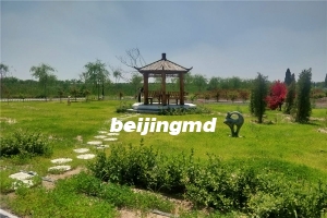天慈墓园墓地在哪