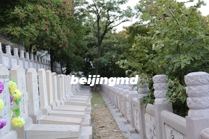九公山长城纪念林什么价位有位置吗？