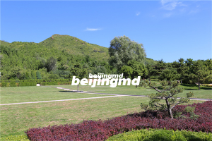 西安市殡仪馆举办2020年秋季运动会