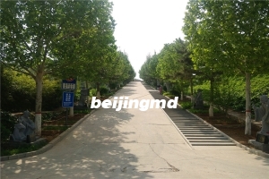 北京墓地排名,北京天寿陵园墓地排名第几