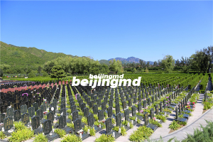 北京通州墓地有哪些以及相应的价位和位置？