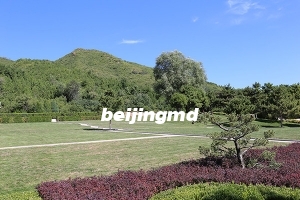 2023北京八宝山革命公墓清明祭扫指南