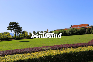 北京福安园公墓多样墓型价格一览