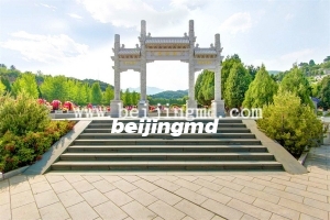 陵园环境