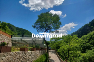 北京太子峪陵园树葬价格表一览？