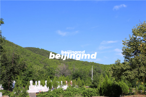 挑选墓地的关键因素是什么？