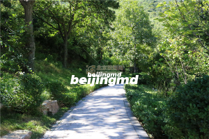 北京市昌平凤凰山陵园是个怎样的陵园？