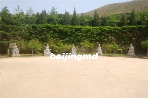 天慈墓园在哪天需要预约