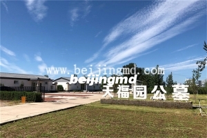 陵园环境