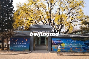 温泉墓园扫墓班车几点？预约电话是多少？