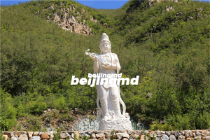 北京合法树葬墓地有哪些？