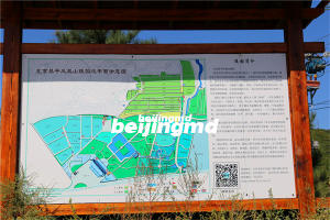 电视剧《我要和你在一起》在北京九公山长城纪念林取景拍摄