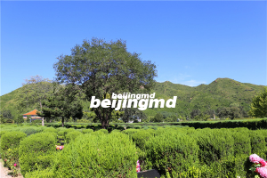 展望殡葬改革之路未来需要走好哪几步？