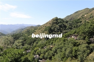 什么情况下可以提前购买墓地呢？为老人提前购买墓地好吗？