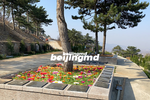 苍南县玉龙陵园入选省级节地生态安葬示范点