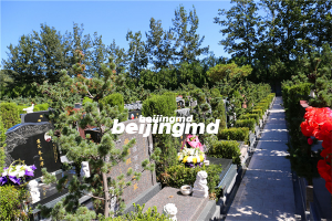 京沪殡葬界两大著名机构战略合作开新局