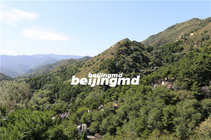 北京八宝山墓地价格较十年前上涨了多少？