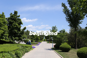 思亲园，玉叶陵园、太子峪陵园、佛山陵园、天堂公墓怎么选？