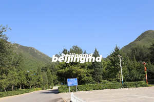 九公山长城纪念林环境好吗？