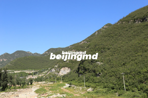 天津玉佛寺寝宫墓地多少钱？天津玉佛寺详细地址在哪里?