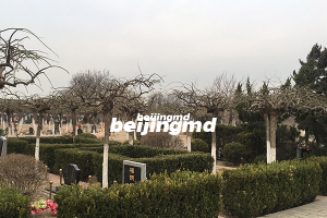 北京惠灵山陵园墓地价格便宜吗？惠灵山陵园的价格一览？